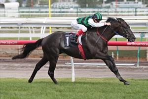 THE RACE: 2014 AUSTRALIAN GUINEAS